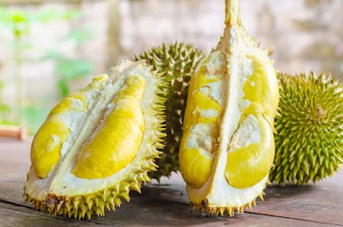 Rekomendasi Supplier Jual Durian Montong Lampung Handal