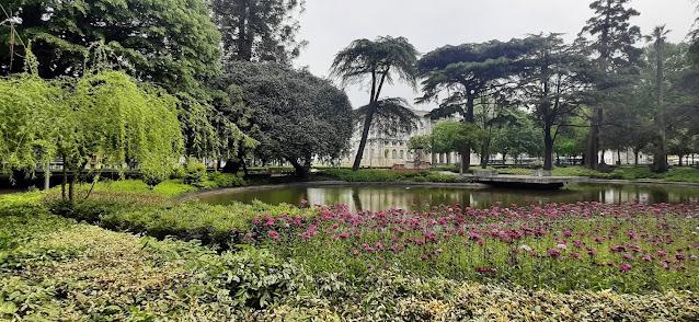 Flores, várias árvores e um lago artificial num Jardim do Porto