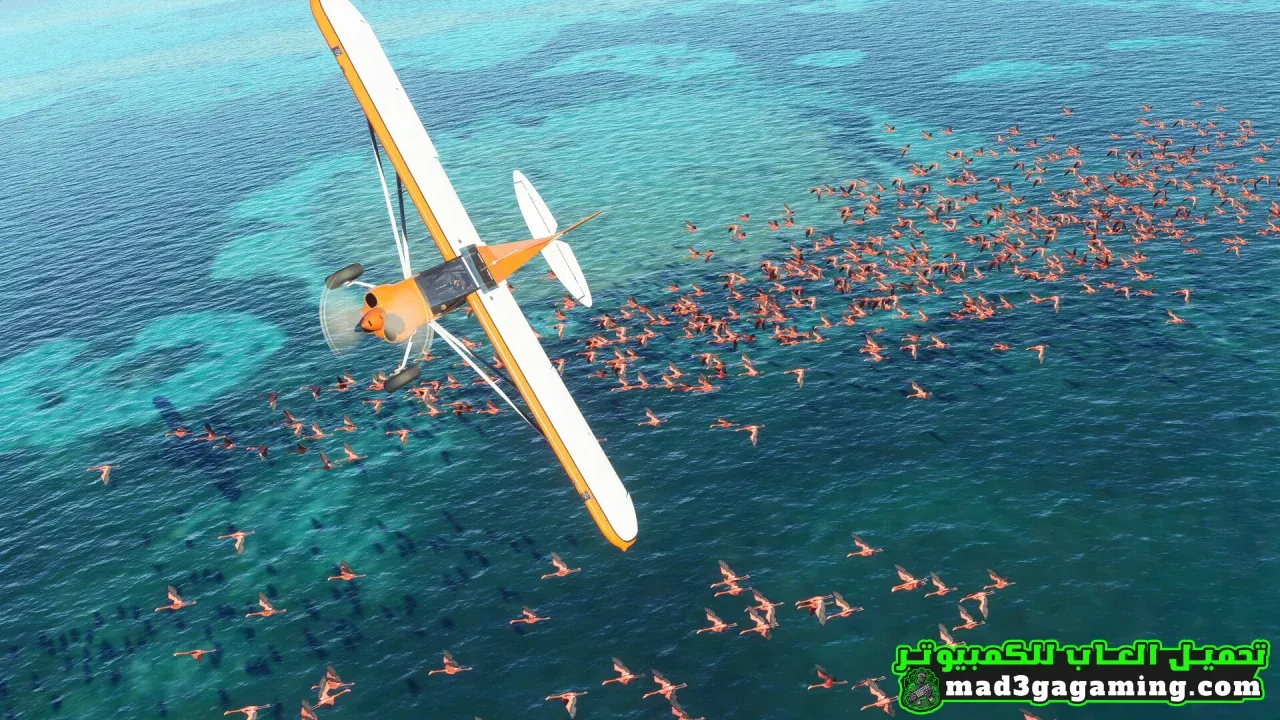 تنزيل لعبة Flight Simulator للكمبيوتر