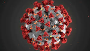 Coronavirus News : It is important to know 10 facts about coronavirus .