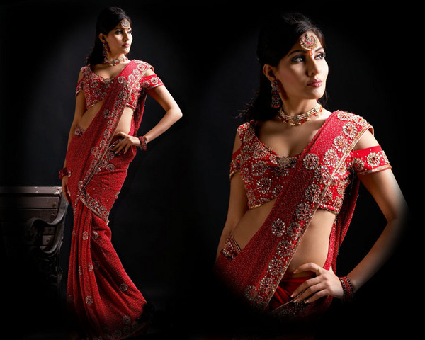 Indian Designers Saree 2011