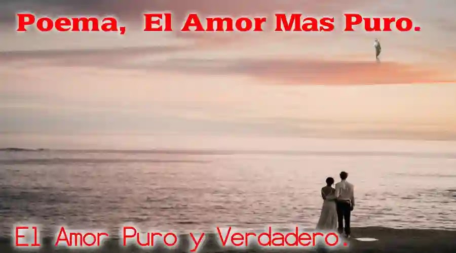 El Amor Puro y Verdadero.