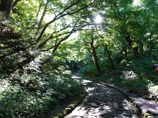 大神山神社の参道