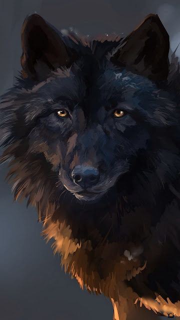 Wolf, Animals, Artist, Artwork, Digital Art, Hd, 4k Images