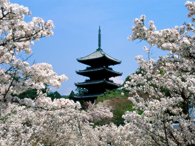 Ceresos Templo Ninna-ji, Kyoto, Japón