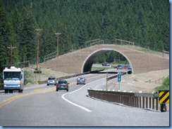 9393 Animal Bridge on US 93 MT