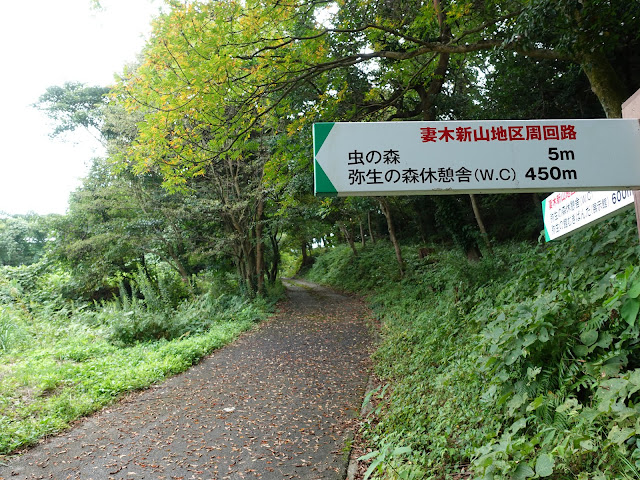 むきばんだ史跡公園の虫の森