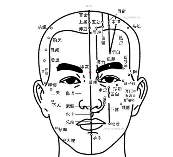 印堂穴位 | 印堂穴痛位置 - 穴道按摩經絡圖解 | Source:zhongyibaike.com