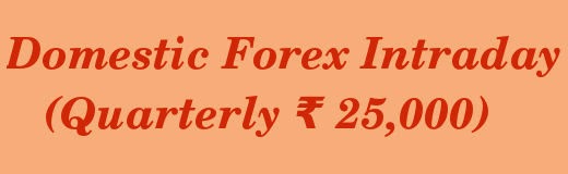 Domestic Forex Intraday