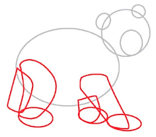 How to Draw a Bear in 4 Steps
