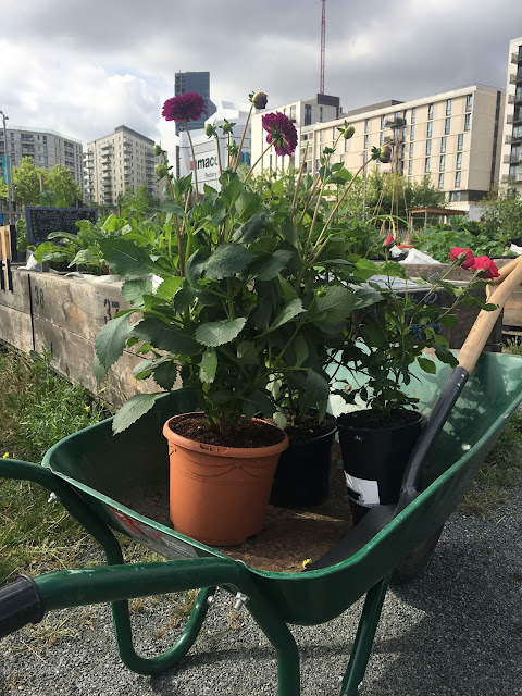 Mobile Garden City