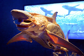 Sea Monsters, Georgia Aquarium
