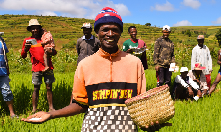 Le secteur agricole reste « l'épine dorsale » de l'économie malgache selon la Banque mondiale