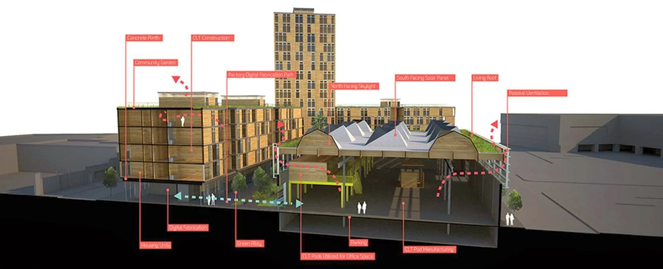 Grow Your Own City Wins Timber in the