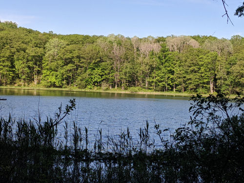 Bowman Lake