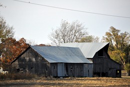 DSC_0122