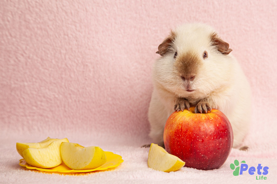 can-guinea-pigs-eat-apples-with-skin