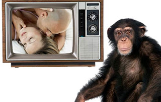http://meroknowledge.blogspot.com/