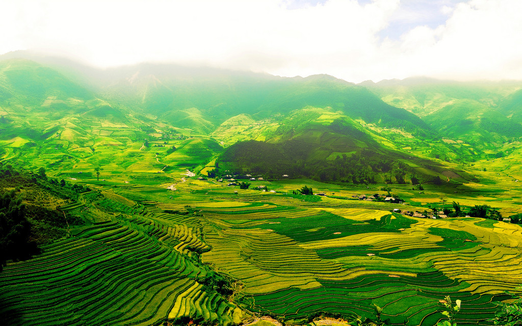  Gambar Pemandangan Sawah Gambar Pemandangan 