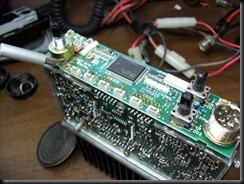 SAM_1205 (Small)