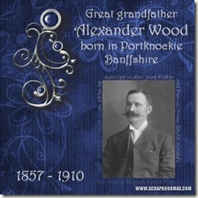 Ggf_Alex_Wood_479x479