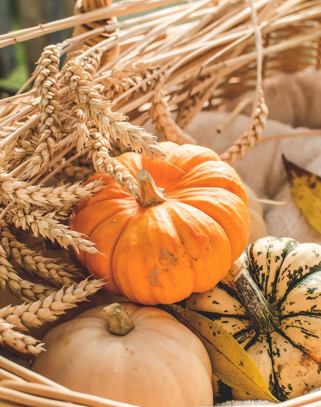 13 amazing health benefits of pumpkin, the most prominent of which is bone strength
