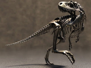 Dinosaur Skeleton Wallpaper