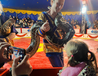 Rosie touches the four meter long python