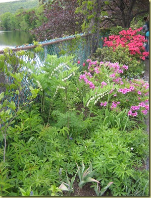 May Garden and Vav Stuga 006