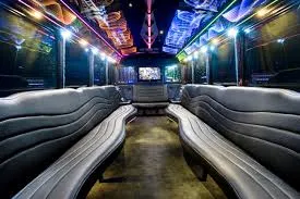 BUS PARTY - US BUSSES PARTY PICTURE