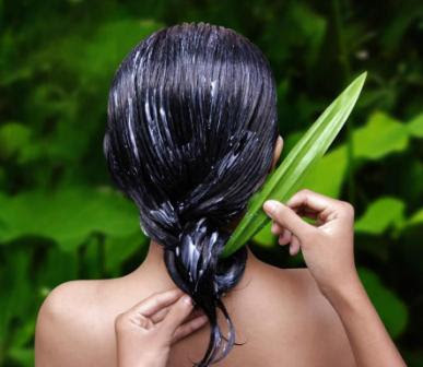 Memiliki rambut yang sehat dan terawat merupakan harapan hampir semua orang 4 Cara Merawat Rambut Agar Tetap Sehat Secara Alami