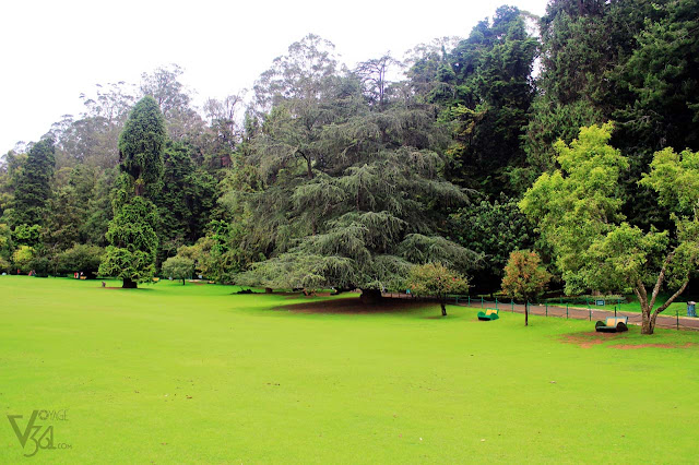 Ooty Botanical Garden - Lower gardens