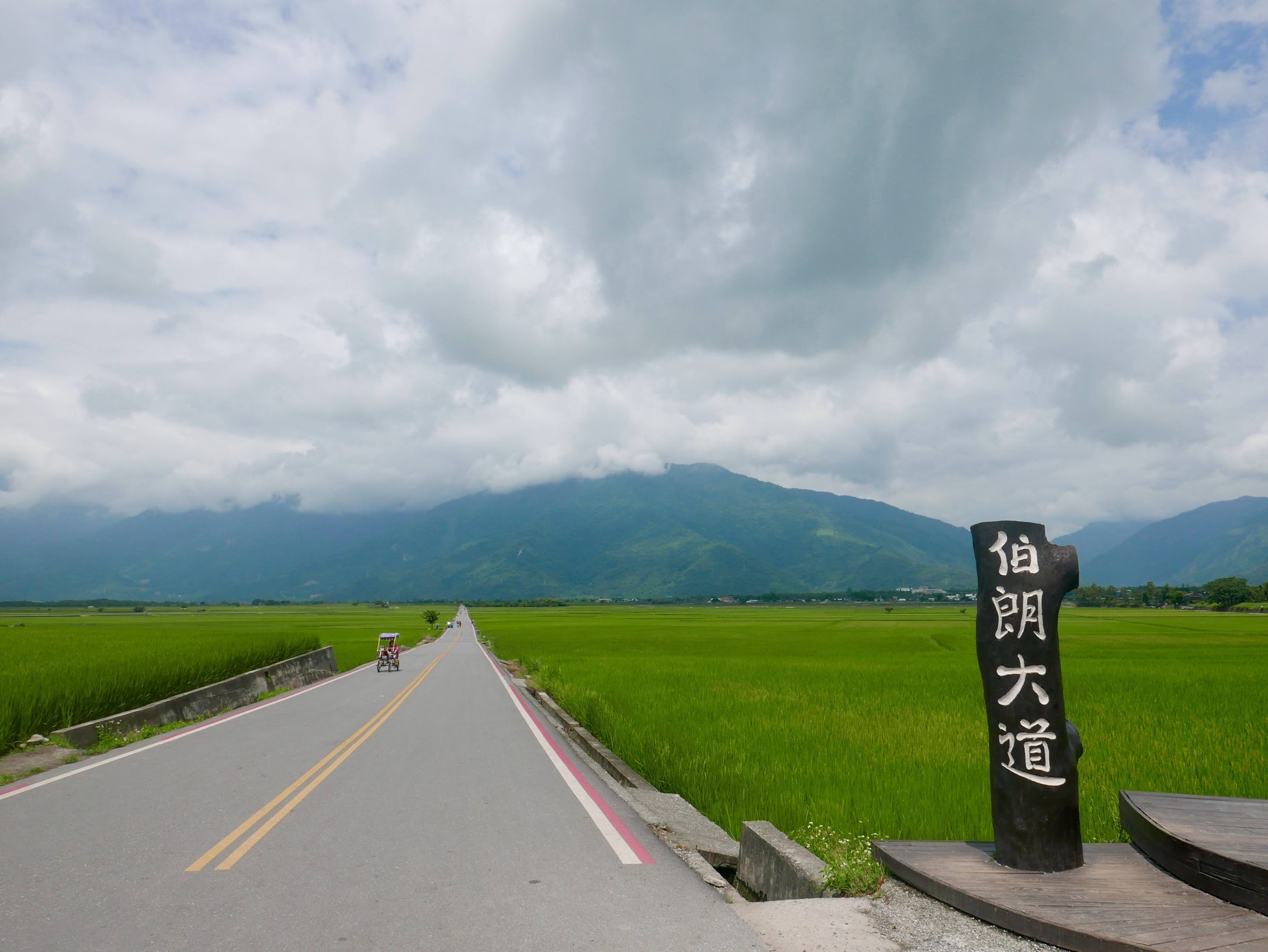 台東縣池上鄉 伯朗大道