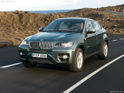 2009 BMW X6