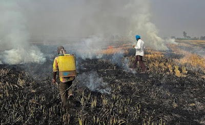 Farmers burn crop stubble in a rice field at a village in Fatehgarh Sahib district in the northern state of Punjab, India, November 4, 2022. REUTERS/Sunil Kataria