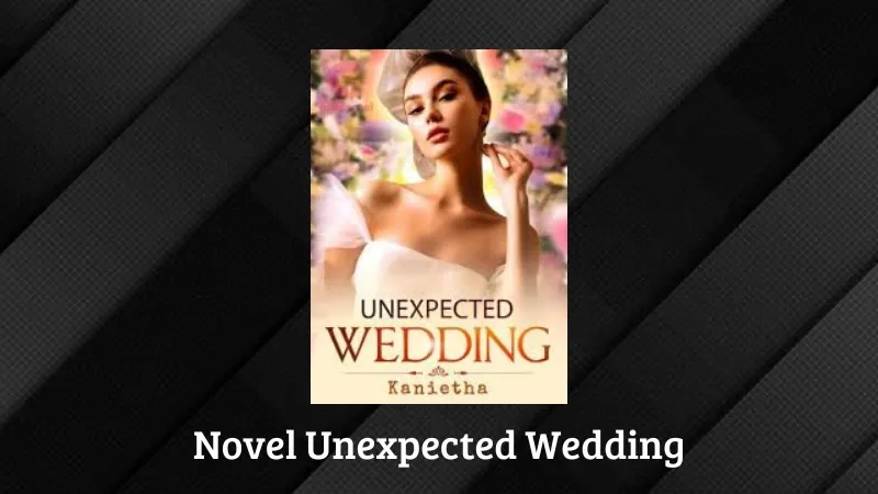 Novel Unexpected Wedding