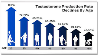 24 Hour Testosterone Transformation Plan (Solution Enclosed)