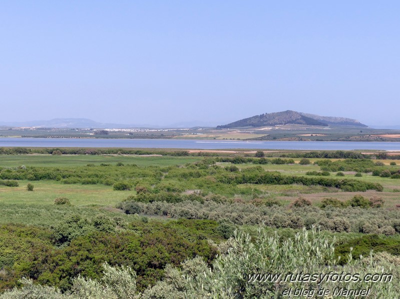 Laguna de Fuente de Piedra y Lagunas de Campillos