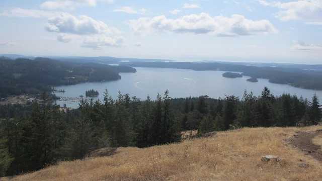 Turtleback Mt view of West Sound