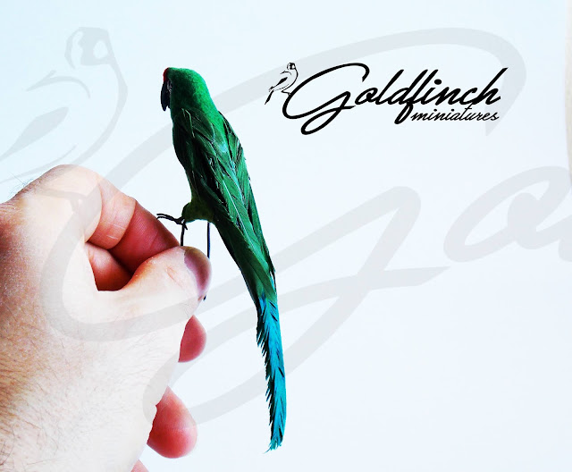 ARA VERDE PAPPAGALLO GOLDFINCH MINIATURES