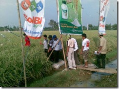 SOLBI SAWAH 24082010(010)