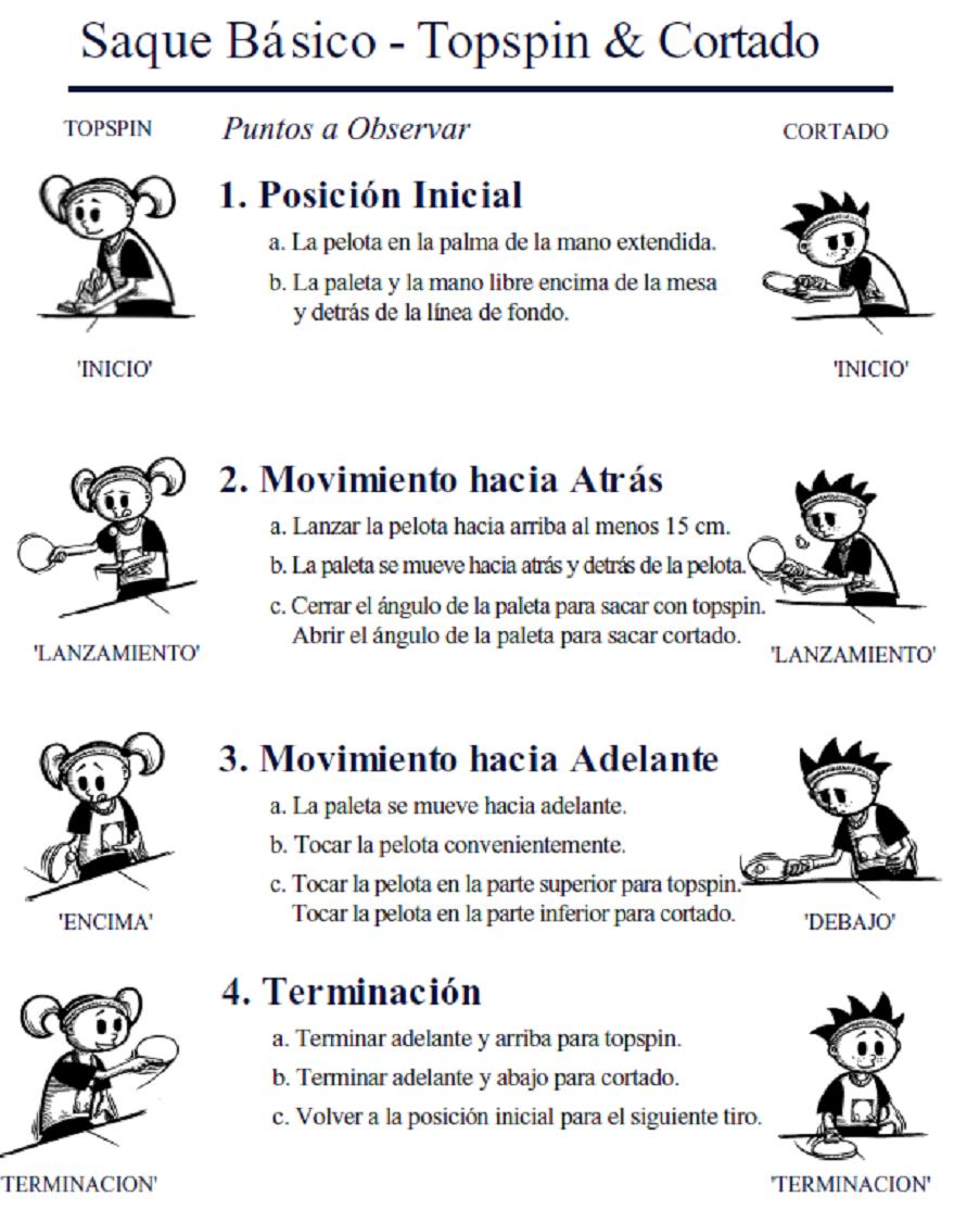 Educación física y algo + : NORMAS Y REGLAS BÁSICAS TENIS DE MESA