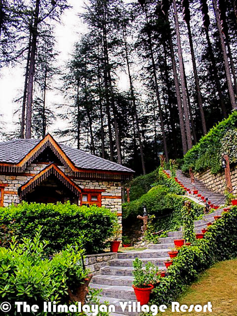 Want to enjoy Chamba, Kinnaur, Mandi, Kangra, Shimla, Spiti, Lahaul and Kullu at the same time? No I am not kidding! You could actually do that at the Himalayan Village Resort.And these are names of the cottages in the quaint resort, and captured the flavors of Himachal – the interiors, the food, entertainment-under one roof The resort, set amidst thick Deodar forest, helps you rediscover yourself, The serene mountain landscape of the land of gods and the unique architecture of Himalayan village resort- made of stone and wood-is so captivating that you many not want to go back to the city and its choresThe resort has been built in the ancient Kathkunia style –dry stacking stones and wood without cement. The inner walls are mud plastered to retain the native rustic charm. The resort is Eco-friendly and gives you an insight in the local customs and traditions. There are 8 cottages including two Machan- style rooms.The decor theme of each of the 750 sq ft cottage is built around the different culture flavors of Himachal Pradesh the decor of each room has been done up thematically, reflecting the tradition and culture of the state –deodar wood work, beautifully carved teak furniture, handmade Tussar silk curtains and traditional brass fittings give each room a cozy feel as you have come home. The resort provide daily housekeeping and evening turn down services.All cottages are equipped with a king size bed,4-seater sofa, study, mini Fridge ,mini bar, separate dressing area, fully furnished and equipped toilets and personal lawn. They also have private sit-outs. Lahaul and Kullu the Machan –Style cottages are the USP of the resort. They offer a sweeping view of the mountain landscape. Book the machans well in advance as they are most sought-after cottage because of their unique setting. The resort has mult-cusine restaurants, a well done up cozy bar that stocks finest liquor from around the world and a fully equipped spa to pamper you. The spa offers heat sauna, steam sauna, Jacuzzi aroma bath therapy, acupressure and massages and kero therapy.In case you planning a business gathering, the resort can accommodate different group size .It has world class facilities for organizing meetings. At the resort, you could be torn between staying indoors and going outdoors. If you are the outdoor types, the hotel can arrange many activities such as river crossing, rappelling, nature walks jungle excursions, rock climbing, mountain biking, trout angling, trekking and river rafting, horse riding, jeep safaris jungle barbecue.In case you feel like lazing around, simply sit in the private garden of your suite and let the sun-rays filtering through the Deodar tree play on you.A holiday at the resort and the cool greenness of Kullu with its wide range of trees, ferns and native flora will act like balm for your dust-weary soul. That‘s a promise!Just look at the right-bottom corner of above photograph, which shows the location on a hill where 'The Himalayan Village Resort'  is located.The Himalayan Village is one of the premier holiday resorts in Himachal Pradesh offering exciting Himachal tour packages.The Himalayan Village is a glorious mix of style, top class facilities, where the traditional architecture & aesthetics blend harmoniously. 'The Himalayan village' is an ideal place to rejuvenate amongst nature and its ways. Sitting under deodar jungle in the morning hours with the sunrays breaking through brings with it the peace of nature. 'The Himalayan Village' situated at the foothills of the famous malana village, the oldest democracy in the world & just 10 K.M short of manikaran, famous for its hot water springs, right on the bank of ice cold parvati river. A highly revered pilgrimage being the tapobhoomi of Bhole Nath for 11000 years & later visited by the great Sikh guru Sh. Gurunanak dev ji. The valley has some real good treks, majestic flower valleys, thick flora and fauna, crystal clear waterfalls, rivers in virtuous serine parvati valley the 'tapobhoomi' of shiv shamboo. The village has thick deodar (pine) forest as the crown, river parvati wetting its feet, mountains made of black hard-rock, wih as many features as one’s mind can think of protruding as lingas in different shapes & sizes. Snow covered peaks making a perfect backdrop for this 'Shiv Nagari'. The village is a perfect place for nature lovers. The sights of day break, sunrise, and crystal clear skies full of numerous stars can remain etched in one’s memory forever.Made in pure traditional & ancient Kathkunia style (dry stacking of stone & wood without cement), with mud plastered walls from inside blending perfectly with deodar wood work, beautifully carved teak furniture, handmade tussle silk curtains, traditional brass fittings make a perfect blend of aesthetics and class. The cottages based on different districts of Himachal have a build in area of 600- 750 sq ft with mini bar, mini fridges, study, separate dressing, fully furnished and equipped toilets and personal lawns.The Himalayan Village has multiple restaurants, a beautiful traditional bar, a spa with heat sauna, steam sauna, Jacuzzi, aroma bath therapy, kero therapy, acupressure, and massaging to take care of you after a day of activities like river crossing, rappelling, nature walks, jungle incursions, rock climbing, mountain biking, trout angling, trekking, orchard picnics, rafting. After refreshing your mind and soul, join us for the traditional folk dances of himachal done by 'we the staff' and polish off the day with the mouth watering cuisines of himachal. 'The Himalayan village' is real insight to the lifestyle, culture, cuisines, architecture of We 'Pahari people' We promise you all a true Pahari warmth and love.