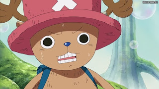 ワンピースアニメ シャボンディ諸島編 391話 チョッパー Tony Tony Chopper | ONE PIECE Episode 391