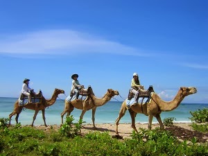 Contoh Paket Tour Keluarga di Bali