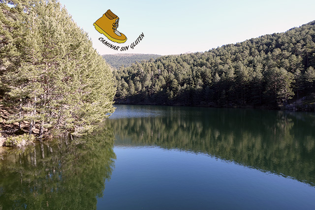 Reflejos de los pinares en el Embalse del Tejo o de Las Tablillas