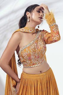 Lehenga blouse Designs for Girls