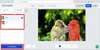 Menghilangkan Objek di Foto Online Gratis Melalui snapedit.app