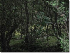 IMG_2840