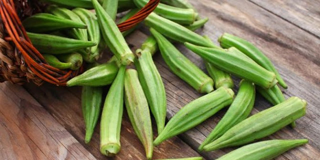 Manfaat Dan Sehatnya Sayur Okra 